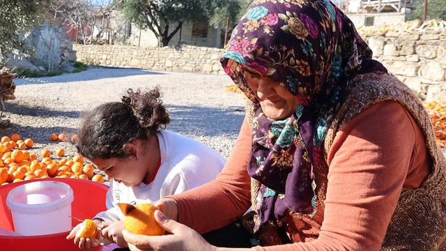 10 kilodan 1 kilo çıkıyor, 25 liradan satıyorlar! Avrupa'ya bile onlar gönderiyor... 