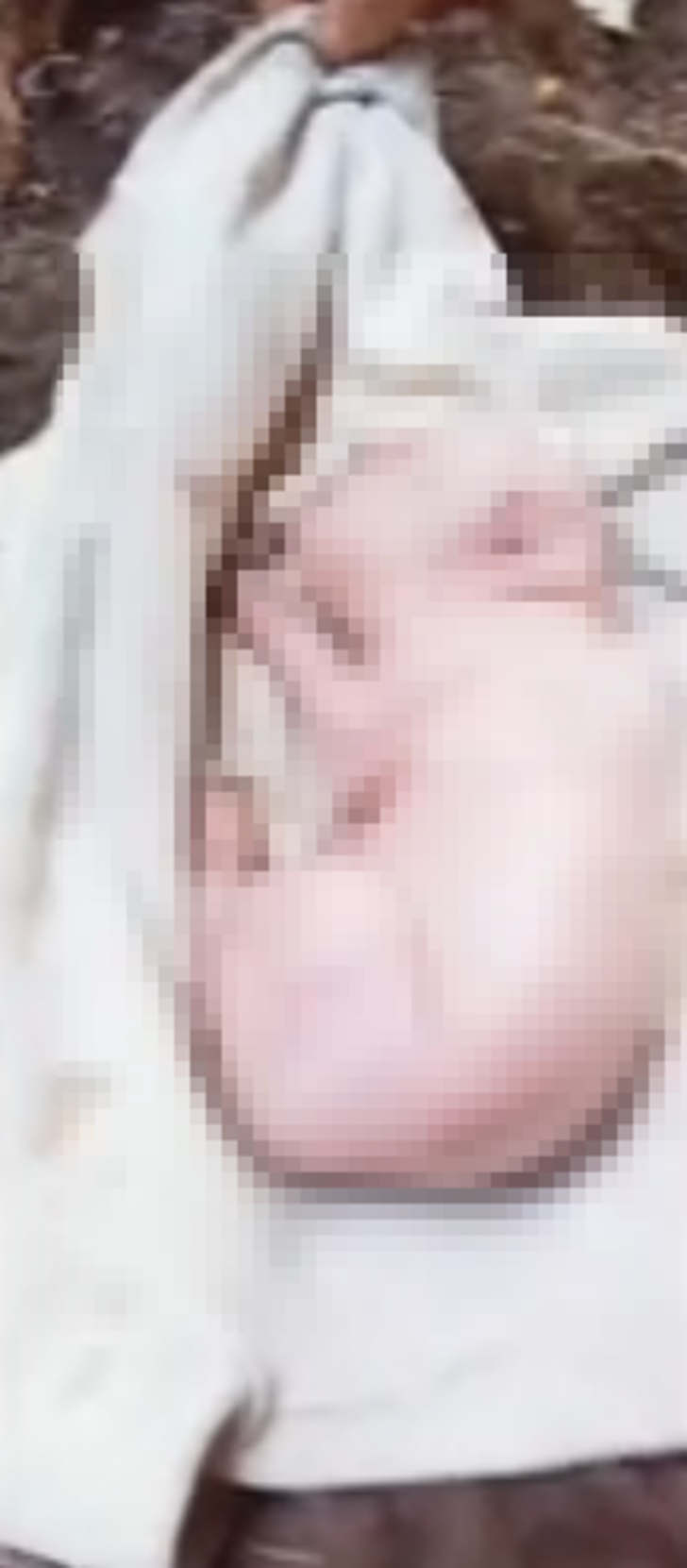 Sosyal medyada milyonlar izlendi! İnsan yüzlü domuz yavrusunu gören inanamadı: "Bebek sesi gibi ağlıyor" G5