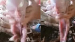 Sosyal medyada milyonlar izlendi! İnsan yüzlü domuz yavrusunu gören inanamadı: Bebek sesi gibi ağlıyor