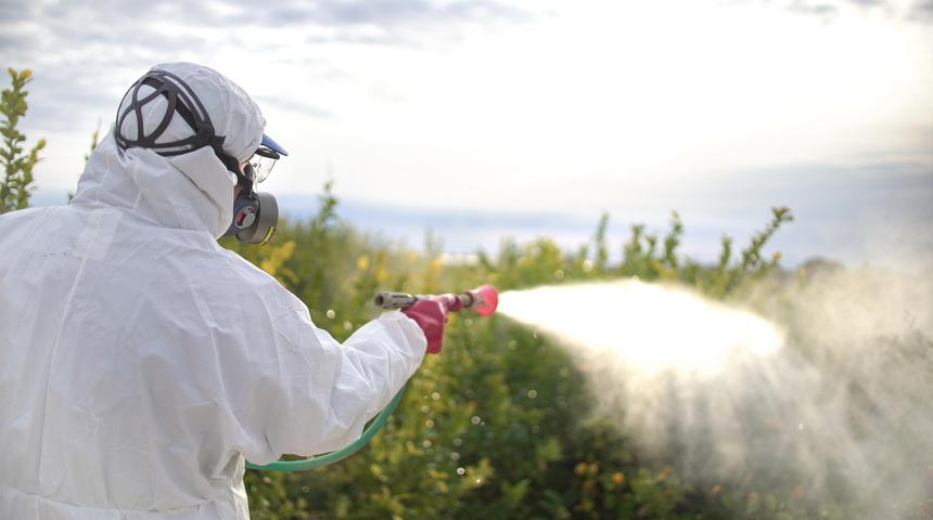 Yurt dışından geri gönderilmişti! Bakan Yumaklı duyurdu: Özel denetim yapılacak!