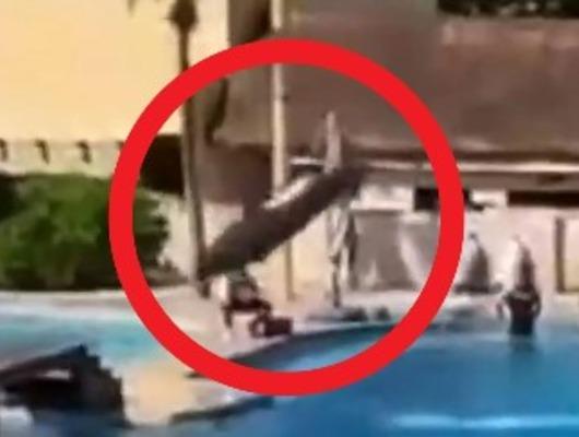 Ölüme böyle atladı! İzleyiciler dehşet içinde takip etti