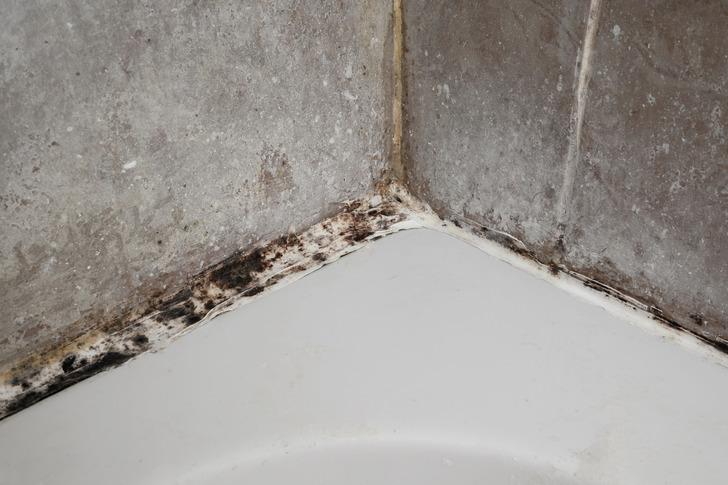 Banyodaki silikon kararması neden olur? Banyodaki silikon kararması nasıl temizlenir?