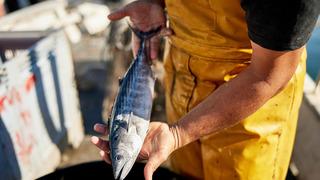 Balık kokusu arabadan nasıl çıkar? Arabadaki balık kokusunu ne alır? Arabadaki balık kokusundan kurtulma yöntemleri