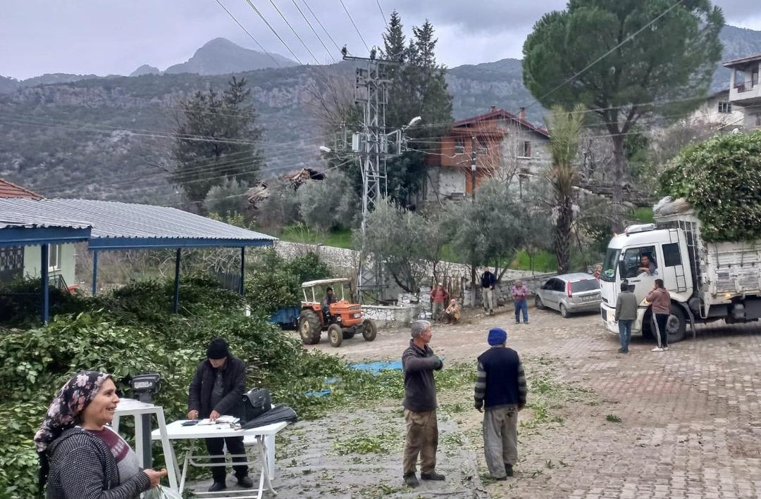 '&Ccedil;ok iyi fiyata verdik! K&ouml;y halkına iyi gelir oldu' Amerika ve Avrupa'ya satılıyor 'Ayağımıza kadar gelip alıyorlar'