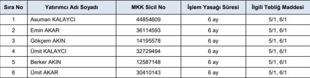 SPK, METUR ve BNTAS hisselerinde dolandırıcılık yapan 16 kişiye 6 ay işlem yasağı getirdi 2