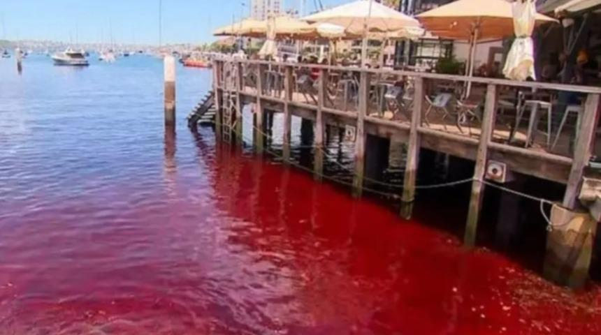 Gören cep telefonuna sarıldı: Nehir aniden kırmızıya döndü! Uzmanlar ısrar ediyorlar: 'İçebilirsiniz'