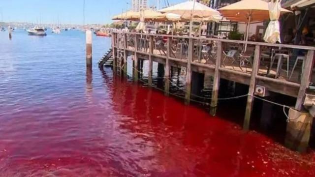 Gören cep telefonuna sarıldı: Nehir aniden kırmızıya döndü! Uzmanlar ısrar ediyorlar: 'İçebilirsiniz'