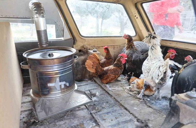 Tavuklarını otomobille soba kurup gezdiriyor: “Benden gezen tavuk istediler...”