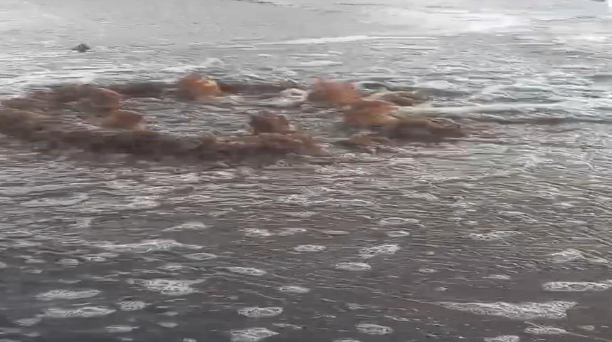 İzmir Büyükşehir Belediyesi'ne 1.6 milyon lira 'atık su' cezası