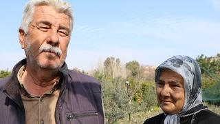 Tek tek binlerce fidan üretiyorlar! Bebek gibi bakım istiyor, 1 tanesi 4 yılda yetişiyor