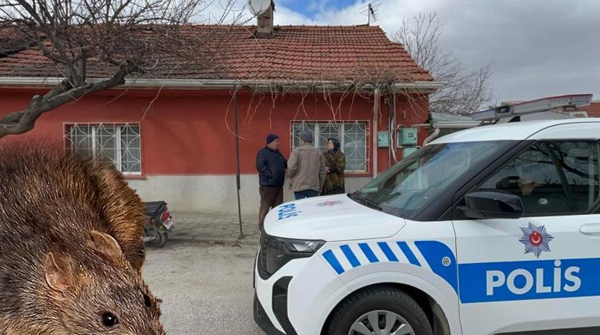 Eskişehir'de korkunç olay! Kendisinden haber alınmayan adamı fareler yedi