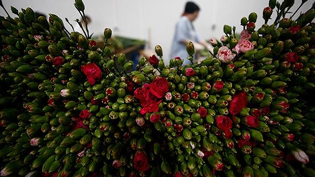 Sayılı gün kaldı, en az yüzde 50 zamlandı... O günün sembolü olan çiçekler fiyatıyla zirveyi gördü!