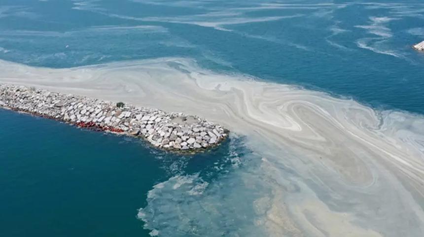 Marmara'da kabus geri döndü! Balıkçılar durmak zorunda kaldı: Şu anda avcılığımız tamamen kapandı