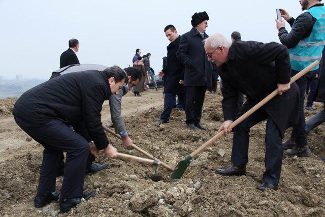 Samsun’da hükümlüler fidan dikti