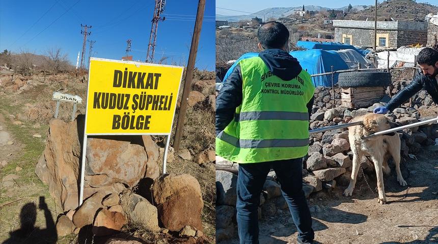 Şanlıurfa'da korku dolu anlar! Kuduz köpek 11 yaşındaki çocuklara saldırdı: Köy karantinaya alındı