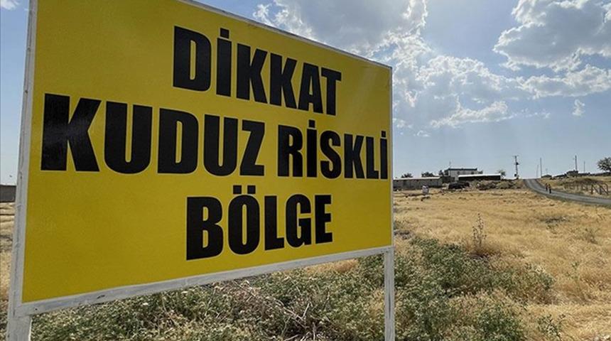 O ilçede kuduz alarmı! Mahallelerde 6 ay süreyle karantina uygulanacak