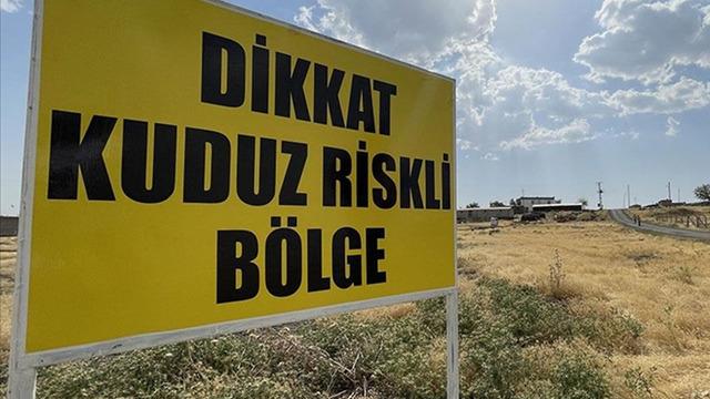 O ilçede kuduz alarmı! Mahallelerde 6 ay süreyle karantina uygulanacak