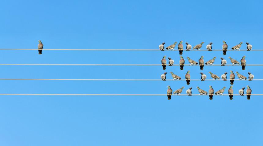 Neden bazı insanlar yalnız kalmaktan hoşlanırken bazıları yalnızlığa katlanamaz?