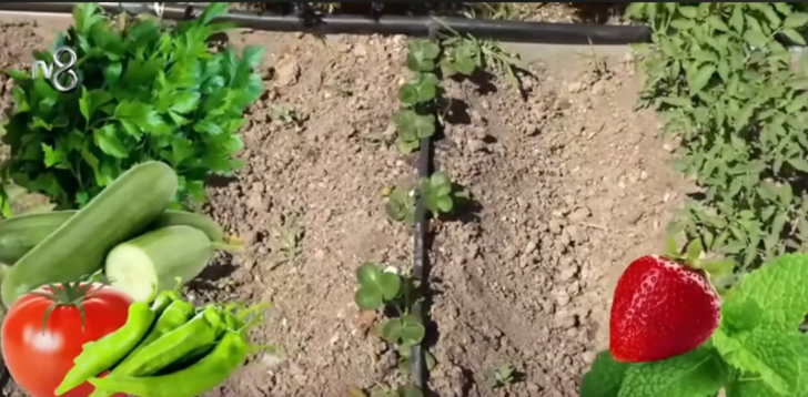 Zuhal Topal lüks evinin kar manzarasını paylaştı... Basketbol ve voleybol sahası bile var! G5