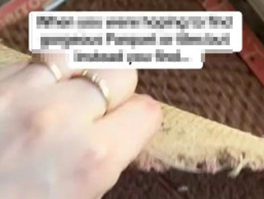 Halıfelksi söktü! Karşılaştığı manzara şaşırttı