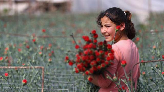 300 TL'ye de var 20 bin TL'ye de! Çiçek siparişlerine yetişebilmek için bir hafta önceden çalışmaya başladılar...
