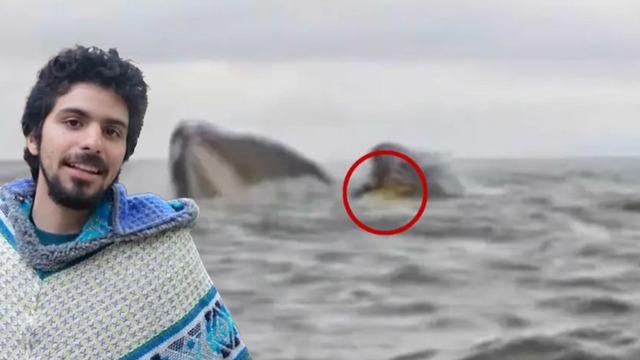 Korkunç görüntüler anbean kamerada! Kanocu kambur balinanın saldırısına uğradı: Beni çoktan yediğini düşündüm