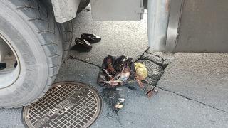 İstanbul'da korkunç kaza! Beşiktaş’ta karşıdan karşıya geçmek isteyen kadın kamyonun altında kaldı               