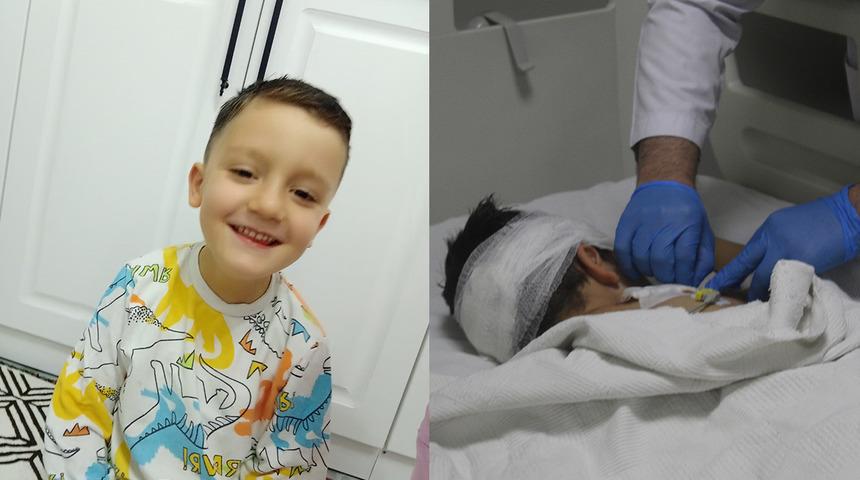 Yer: Adıyaman! 4,5 yaşındaki Osman Can, 5 sokak köpeğinin saldırısına uğradı: Annesi o anları gözyaşları ile anlattı... "Alamadım ellerinden"