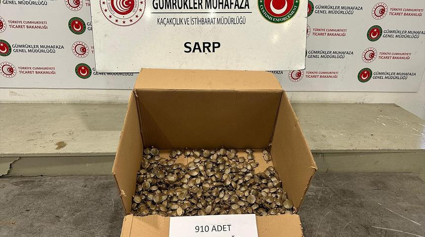 Bine yakın su kaplumbağası... Hepsi kaçak yollarla ülkeye sokulmaya çalışıldı! Çünkü değerleri 655 milyon TL
