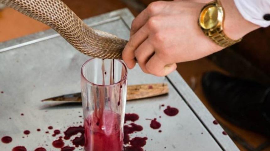 Dünyanın dört bir yanından en garip afrodizyaklar!