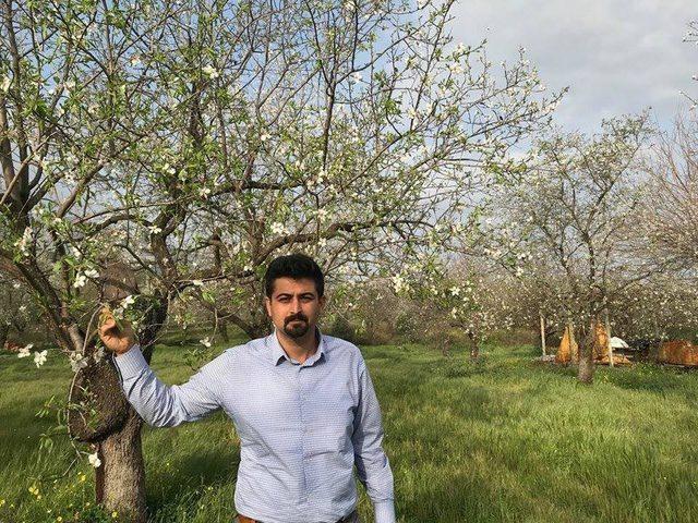 Gıda mühendisinden Datça acıbadem macunu uyarısı 1