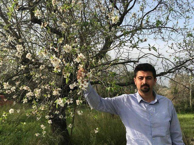 Gıda mühendisinden Datça acıbadem macunu uyarısı 2