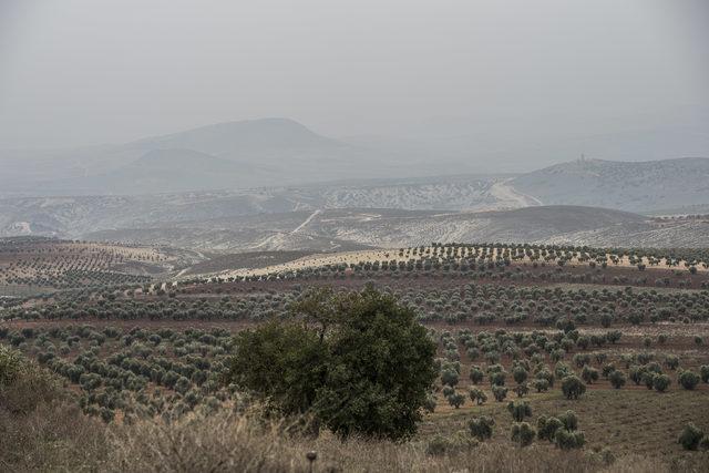 'Zeytin Dalı Harekatı'nda 21'inci gün; Türk savaş uçakları bomba yağdırdı