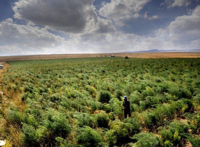 Büyükşehirden yeni bir kırsal kalkınma hamlesi