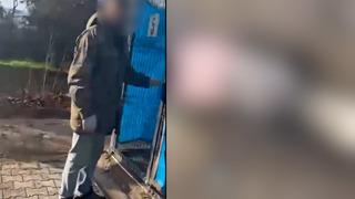 Görüntüler herkesin kanını dondurdu! Osmaniye'de onlarca köpek katledildi... El kadar yavruları, memesi süt dolu anne köpekleri öldürdüler