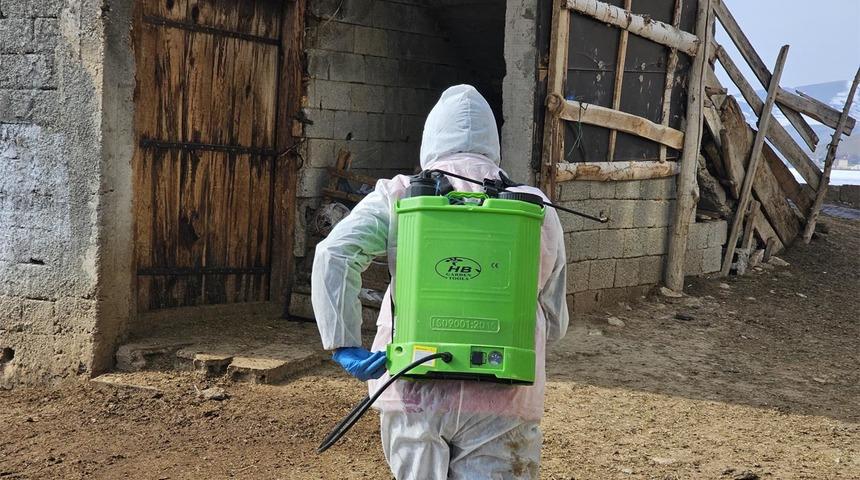 Bitlis'te şap alarmı! Bölge karantinaya alındı