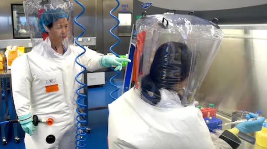 Çin'de bulaşıcı yeni bir yarasa koronavirüsü bulundu! 'Yüksek bulaşma riski'