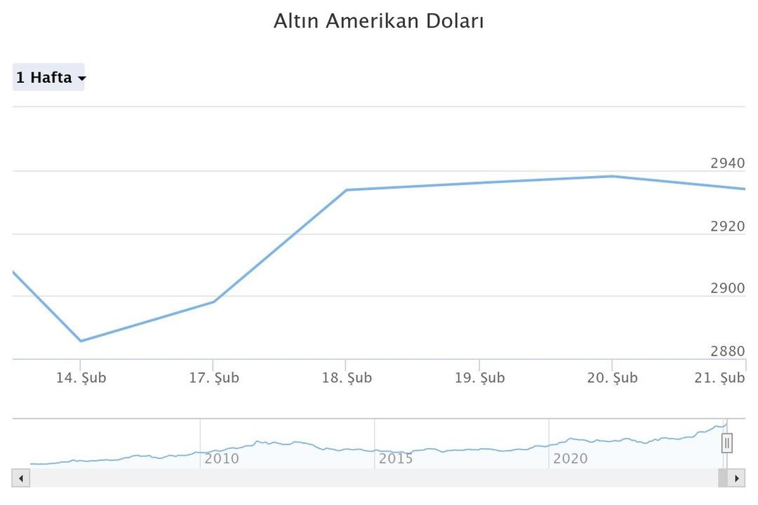 altn-amerikan-dolar (1)