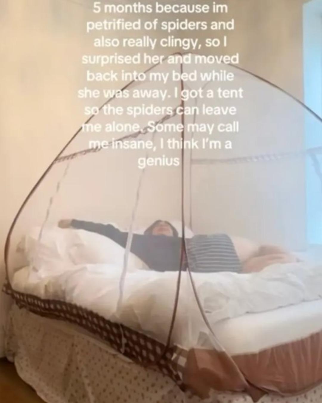 Örümcek fobisi öyle bir şey yaptırdı ki... Yatağının üzerine çadır kurdu: "4 aydır çadırda uyuyorum" 2