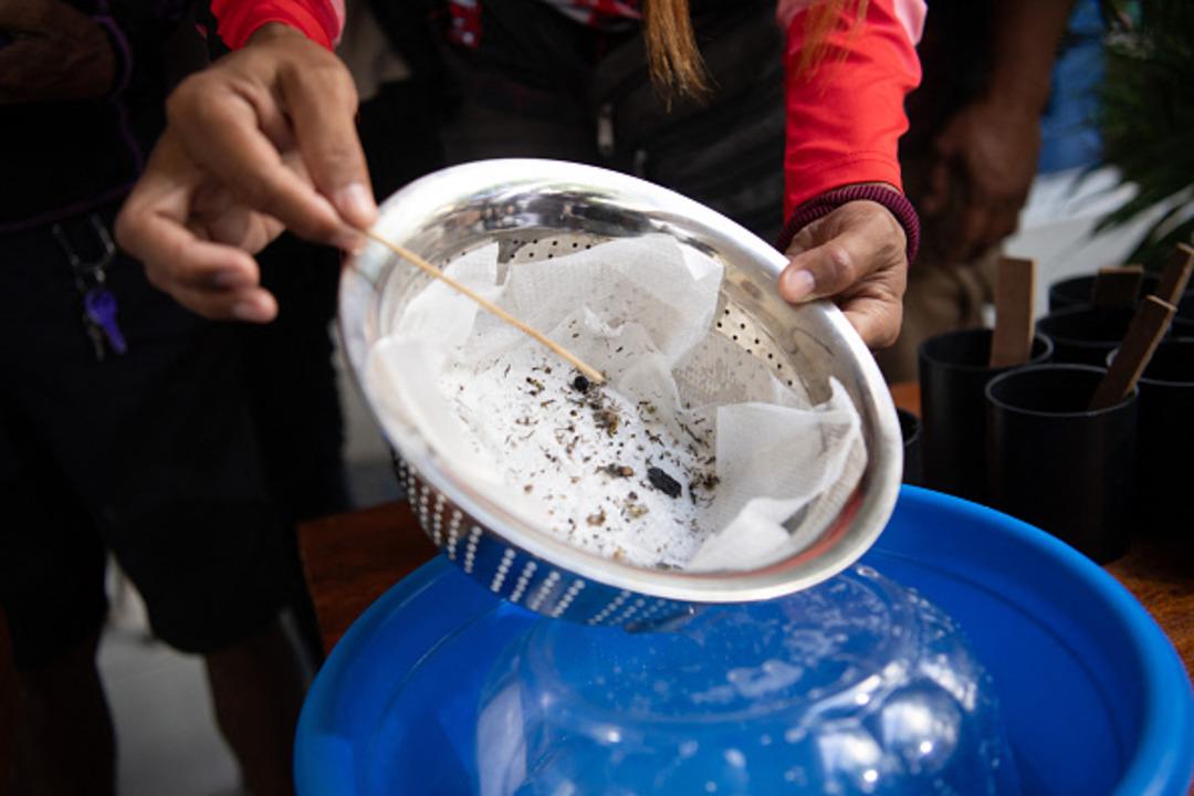 Filipinler de dang humması paniği: Salgının yayılmasını önleme politikası tepki topladı! Sivrisinek yakalayanlara ödül veriyorlar 2