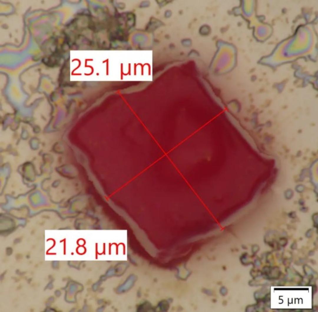 Dünyanın en küçük Lego bloğunu yarattı! Bir kan hücresi büyüklüğünde... "Aklınızı başınızdan alacak" 1