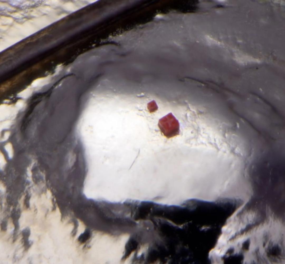 Dünyanın en küçük Lego bloğunu yarattı! Bir kan hücresi büyüklüğünde... "Aklınızı başınızdan alacak" 3