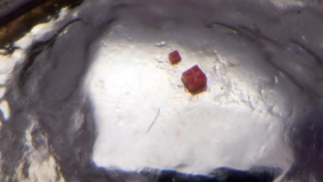 Dünyanın en küçük Lego bloğunu yarattı! Bir kan hücresi büyüklüğünde... Aklınızı başınızdan alacak