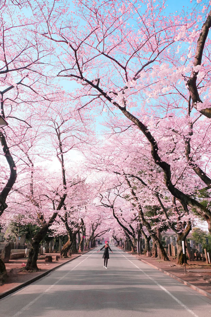 İlk anda kimse göremiyor G2