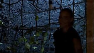 Aycan Yanaç Almanya'da 2. oldu ve ayağının tozuyla Survivor 2025 kadrosuna katıldı