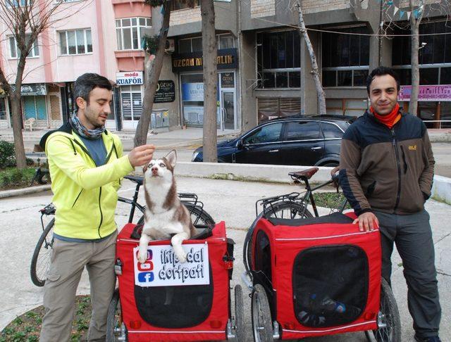 Hayvan sevgisine dikkat çekmek için pedal çeviriyorlar