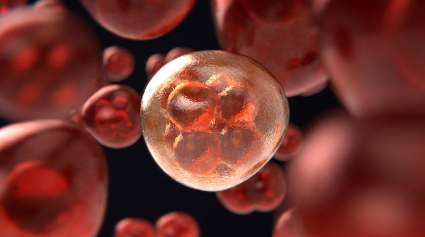 Kanserde devrim yaratacak adım: Yeni aşı tam iyileşme sağlıyor... 9 hasta tedavi edildi! 