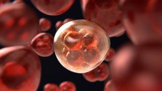 Kanserde devrim yaratacak adım: Yeni aşı tam iyileşme sağlıyor... 9 hasta tedavi edildi! 