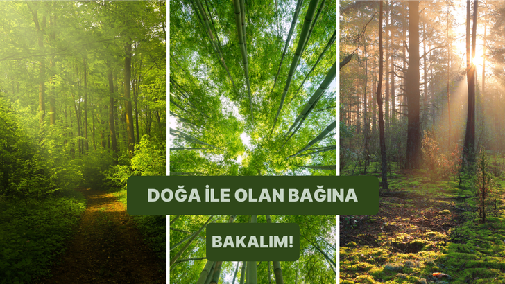 Bu test doğayı ne kadar önemsediğini ortaya çıkarıyor!