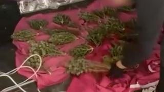  İçişleri Bakanı duyurdu… Uyuşturucuya dev baskın: İstanbul’da Narkokapan-14: Şehit Bora Barış Güler operasyonunda 153 kişi yakalandı!